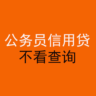 嵩县公务员信用贷款
